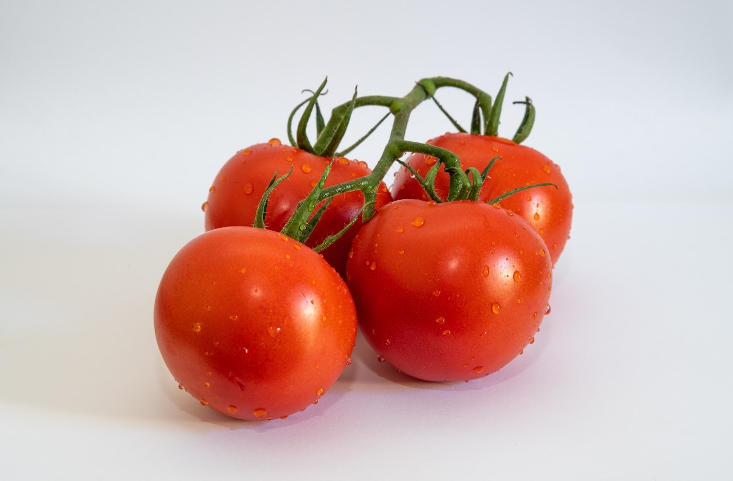 Tradycja i nowoczesność w gospodarstwie Tomczyk